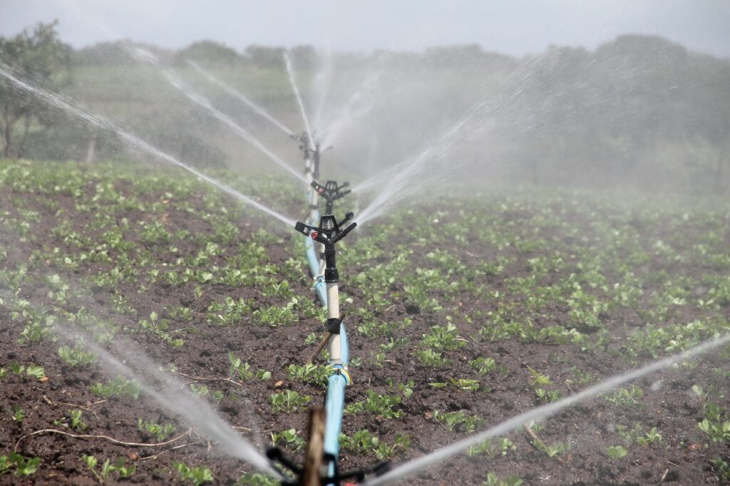 irrigation, agriculture, sprinkle-588941.jpg